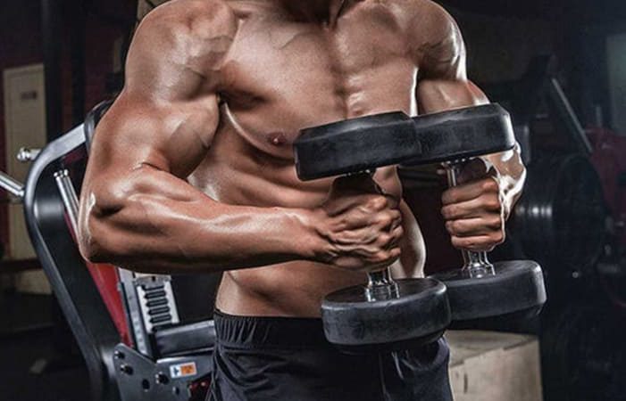 The Ultimate Guide To Chest Workout For Beginner