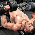 The Ultimate Guide To Chest Workout For Beginner