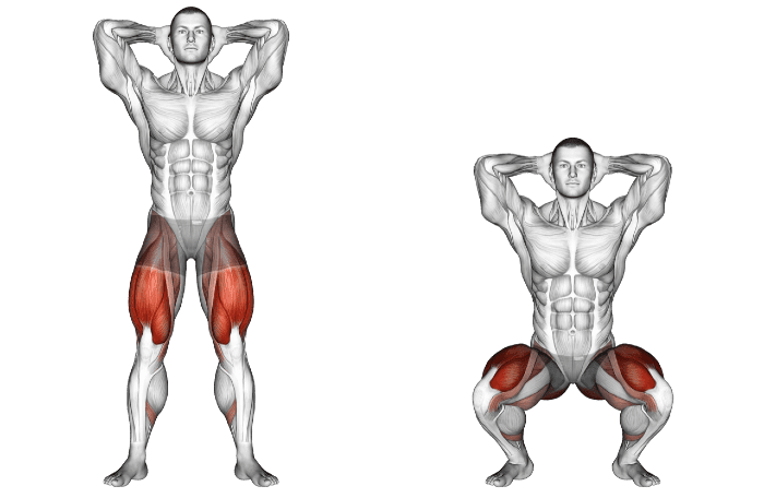 Fitclub Bodyweight Squats Beginner Leg Workout