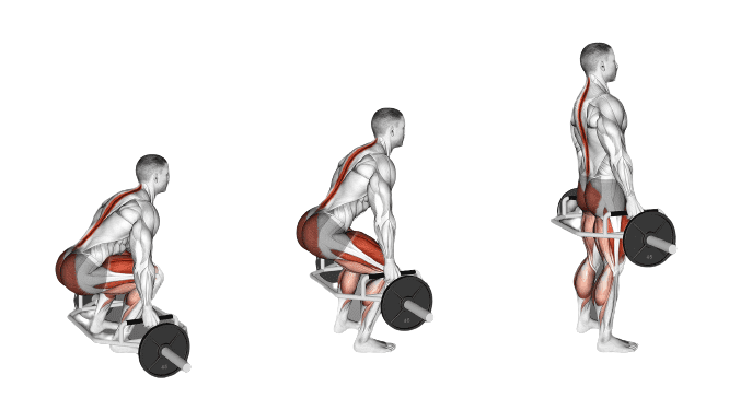 Fitclub Deadlifts Beginner Leg Workout