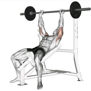 bench press for upper chest