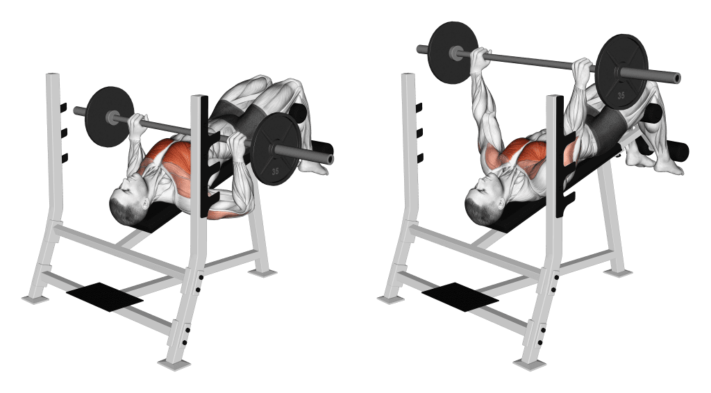 Decline Bench Press